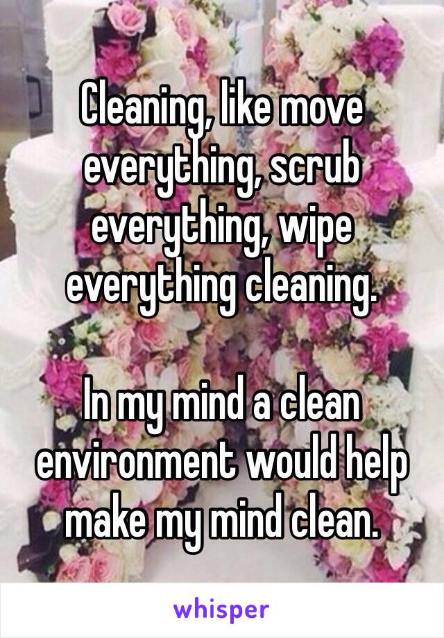 Cleaning, like move everything, scrub everything, wipe everything cleaning. 

In my mind a clean environment would help make my mind clean.