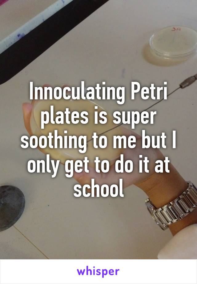 Innoculating Petri plates is super soothing to me but I only get to do it at school