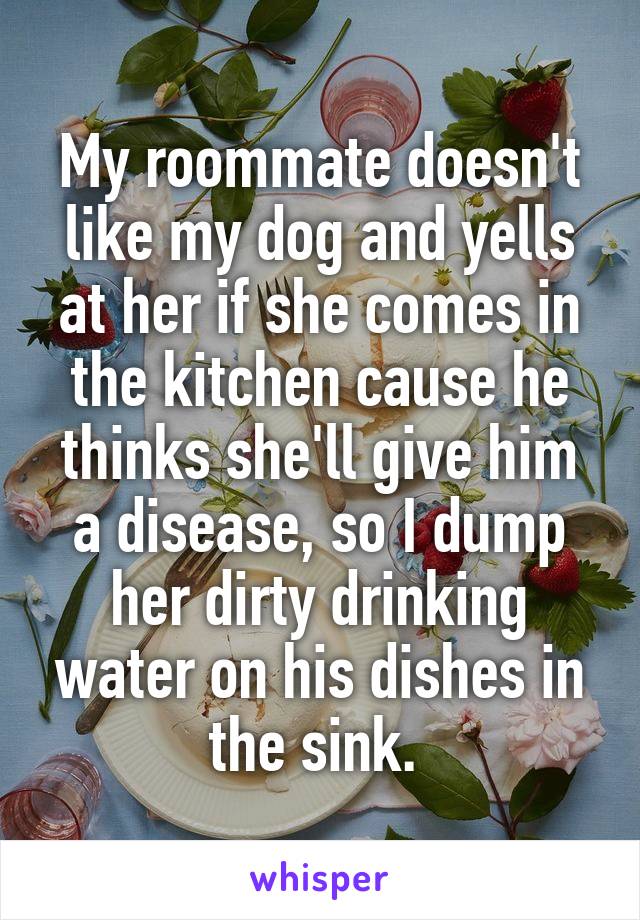 My roommate doesn't like my dog and yells at her if she comes in the kitchen cause he thinks she'll give him a disease, so I dump her dirty drinking water on his dishes in the sink. 