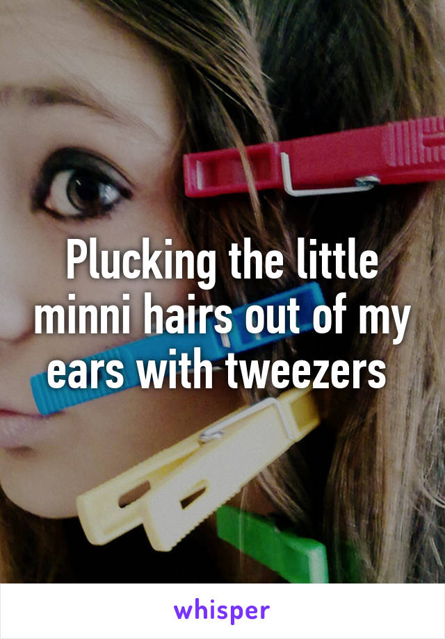 Plucking the little minni hairs out of my ears with tweezers 