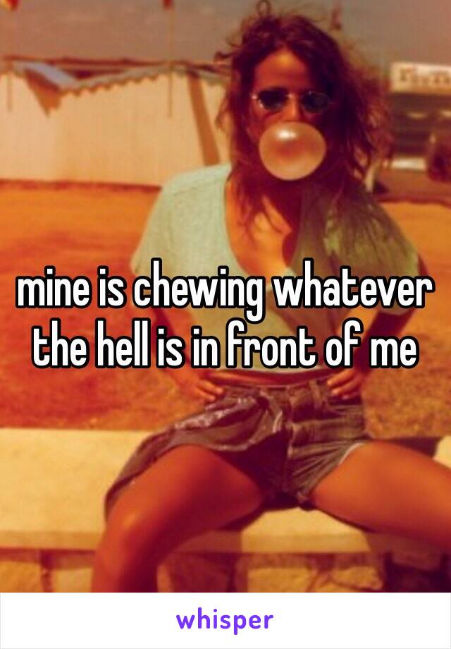 mine is chewing whatever the hell is in front of me