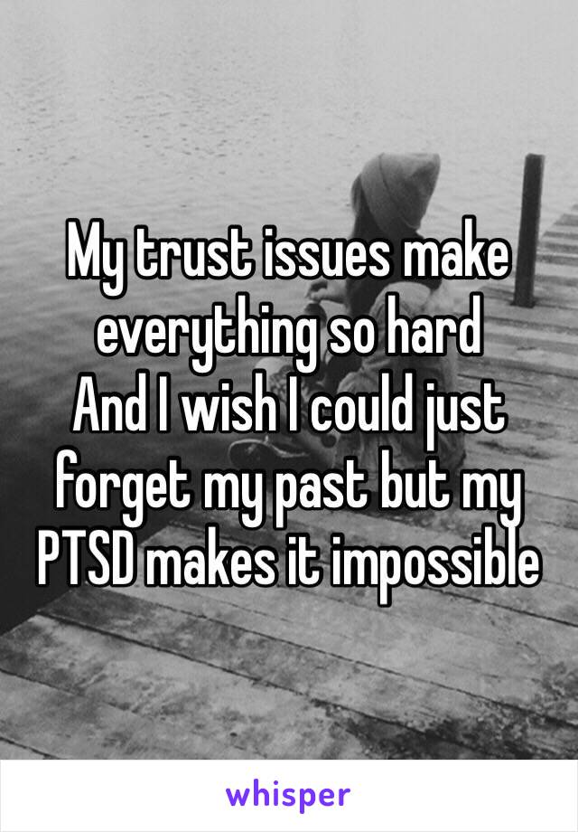 My trust issues make everything so hard 
And I wish I could just forget my past but my PTSD makes it impossible 