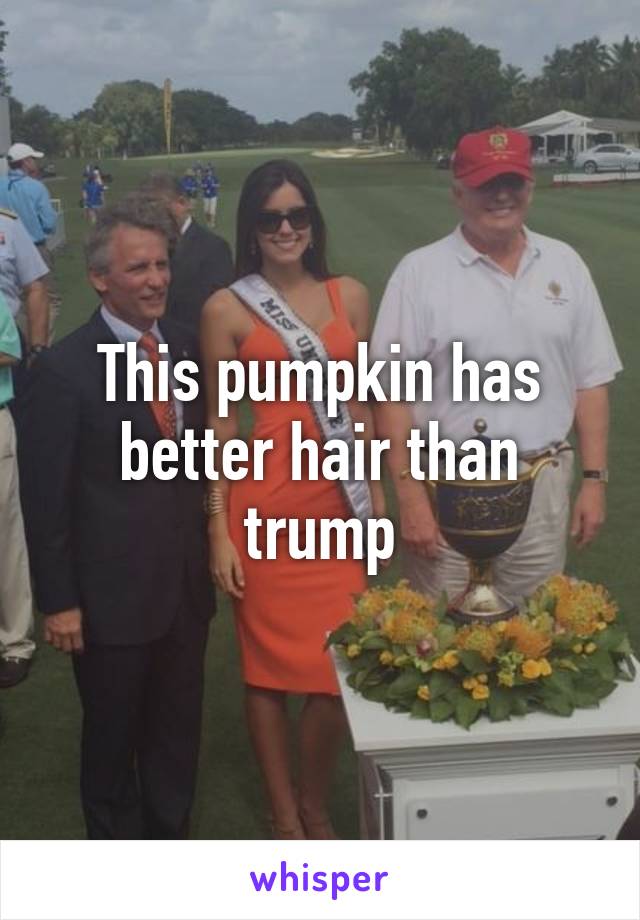 This pumpkin has better hair than trump