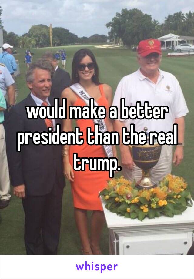 would make a better president than the real trump. 