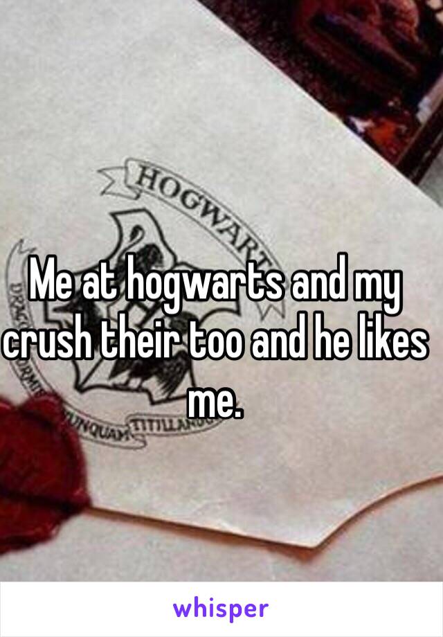 Me at hogwarts and my crush their too and he likes me. 