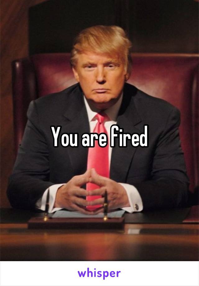 You are fired 