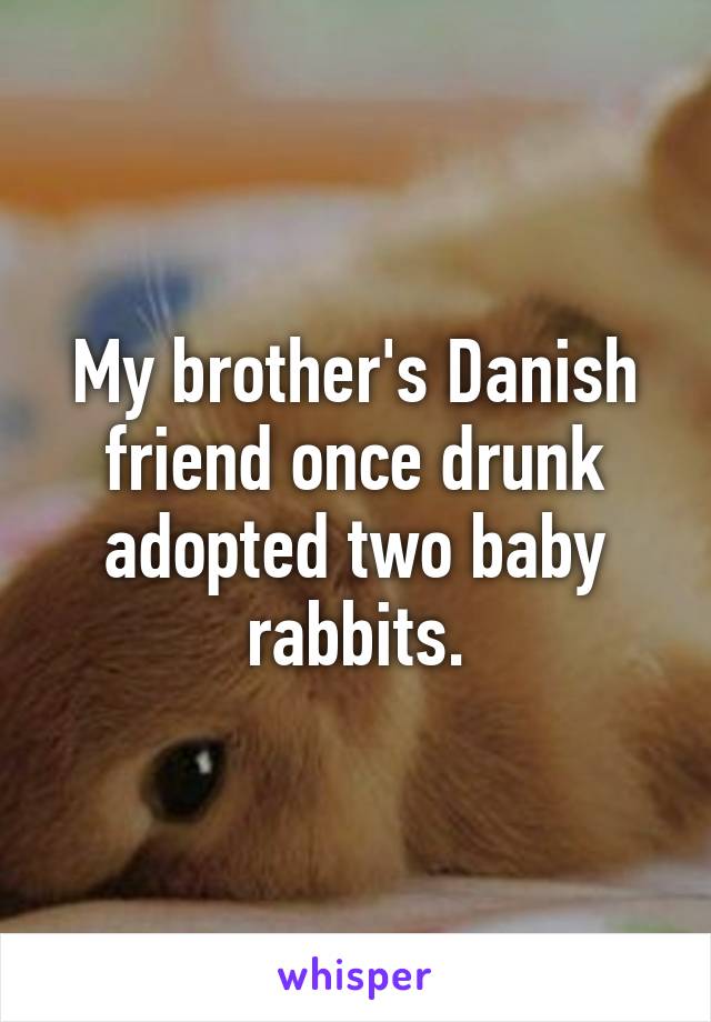 My brother's Danish friend once drunk adopted two baby rabbits.