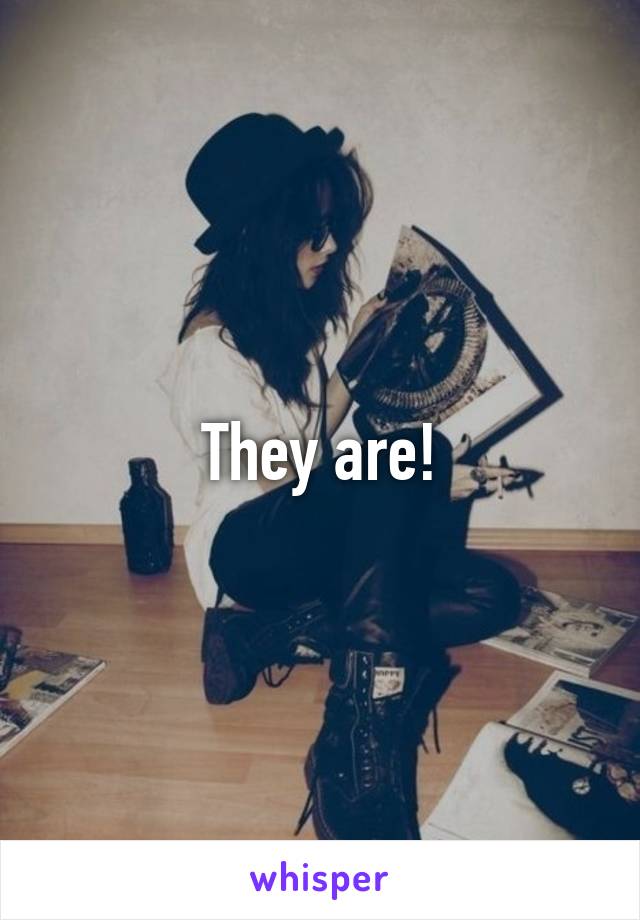 They are!