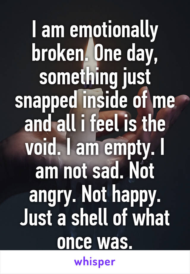 I am emotionally broken. One day, something just snapped inside of me and all i feel is the void. I am empty. I am not sad. Not angry. Not happy. Just a shell of what once was.