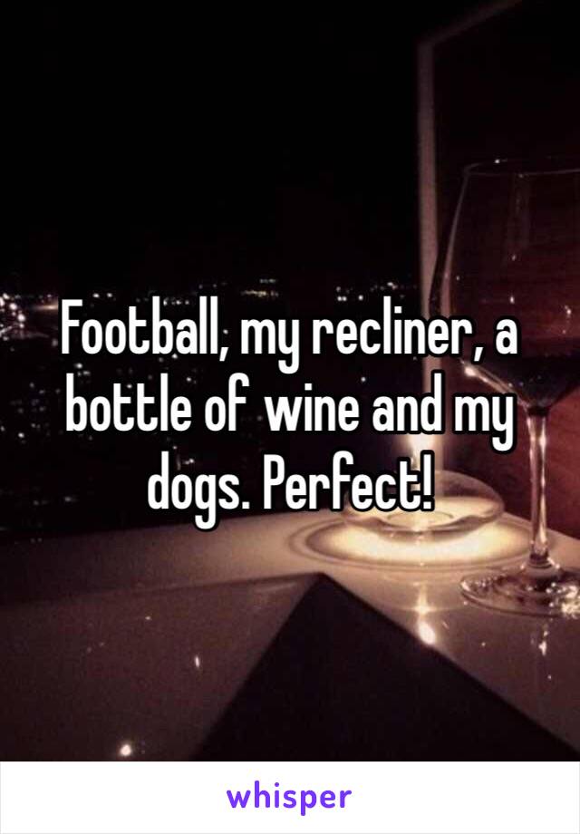Football, my recliner, a bottle of wine and my dogs. Perfect! 