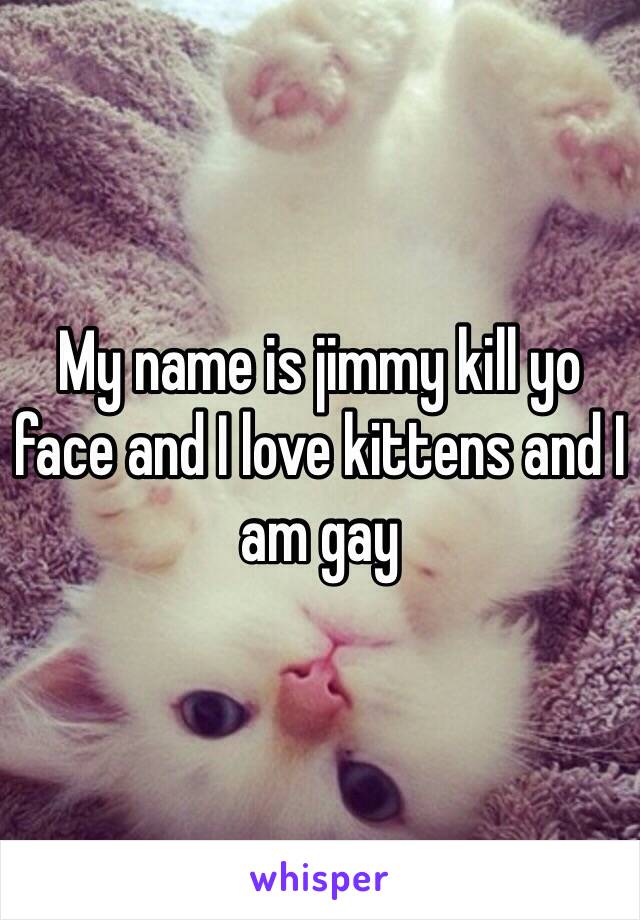 My name is jimmy kill yo face and I love kittens and I am gay