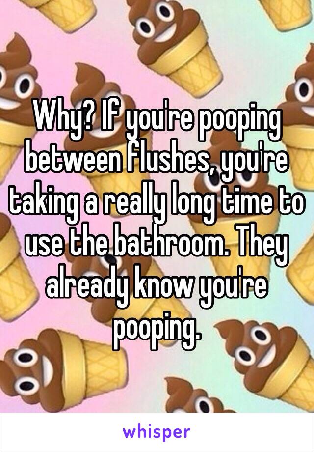 Why? If you're pooping between flushes, you're taking a really long time to use the bathroom. They already know you're pooping. 