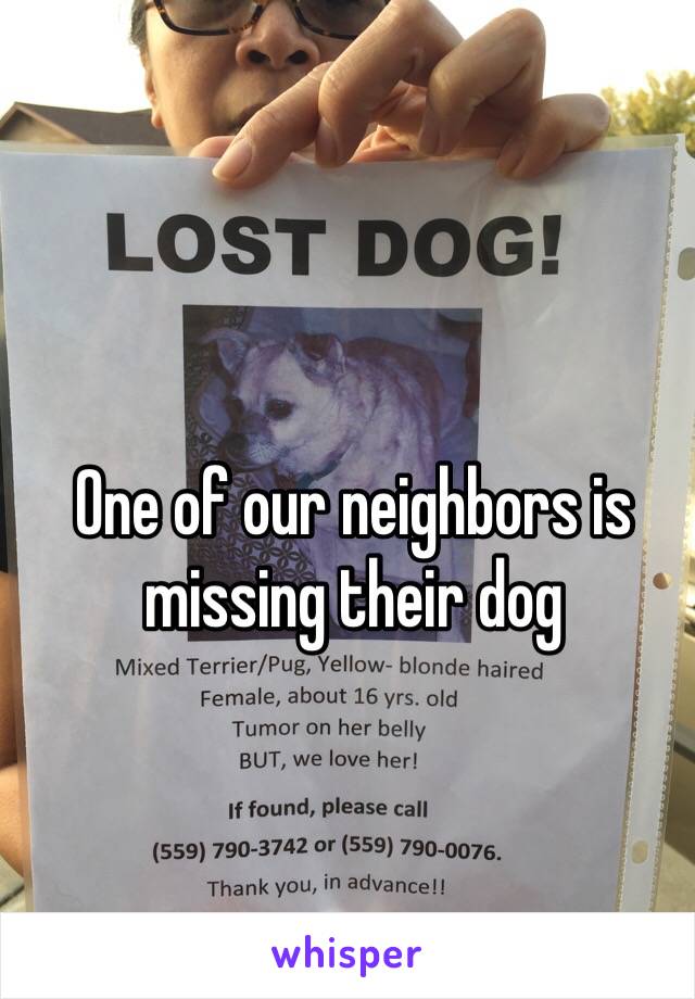 One of our neighbors is missing their dog 