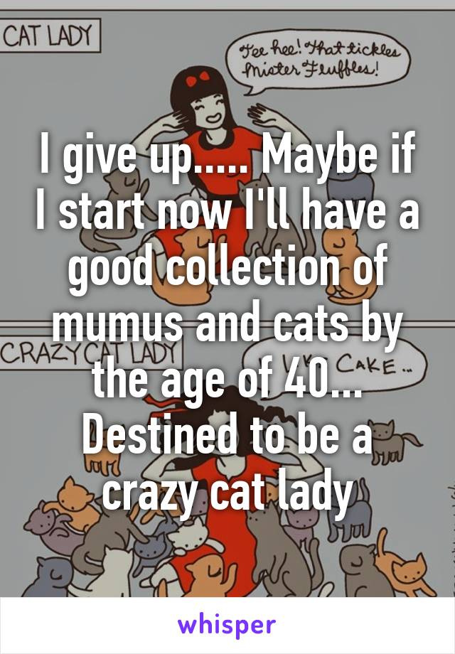 I give up..... Maybe if I start now I'll have a good collection of mumus and cats by the age of 40... Destined to be a crazy cat lady