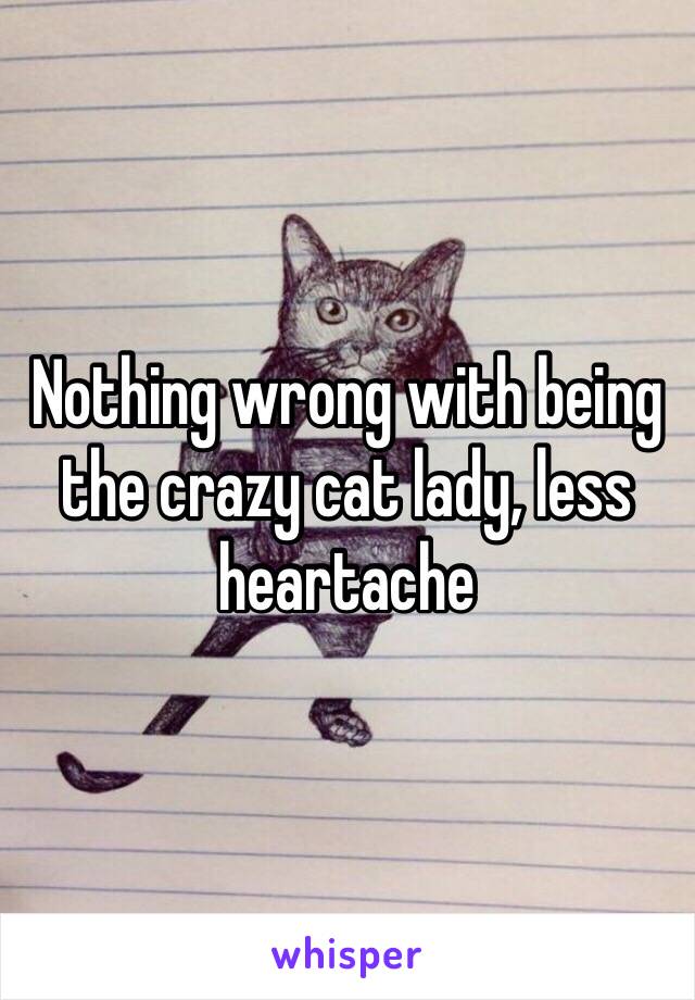 Nothing wrong with being the crazy cat lady, less heartache
