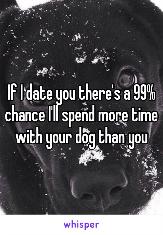 If I date you there's a 99% chance I'll spend more time with your dog than you 