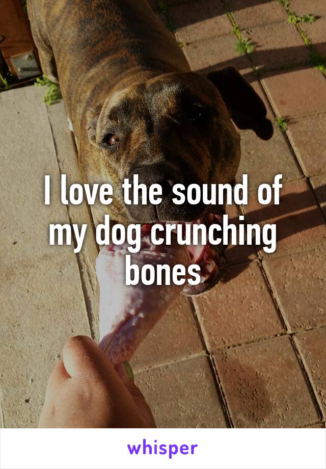 I love the sound of my dog crunching bones