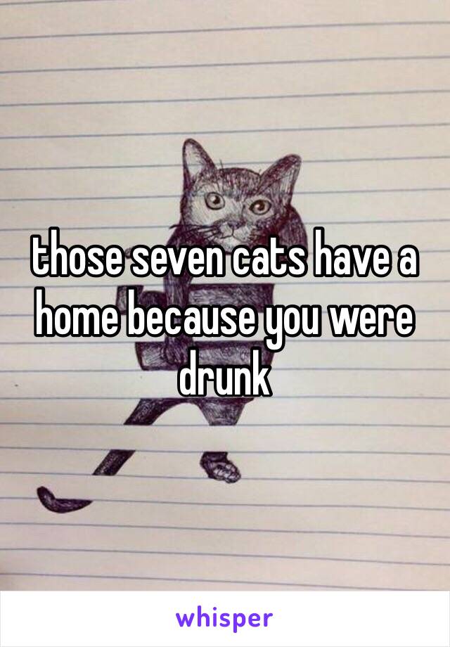 those seven cats have a home because you were drunk 