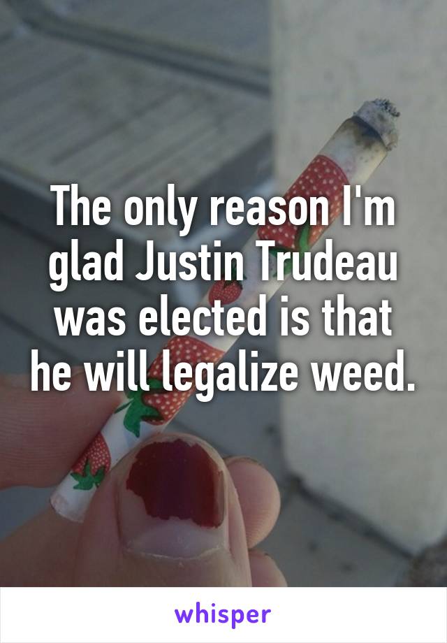 The only reason I'm glad Justin Trudeau was elected is that he will legalize weed. 