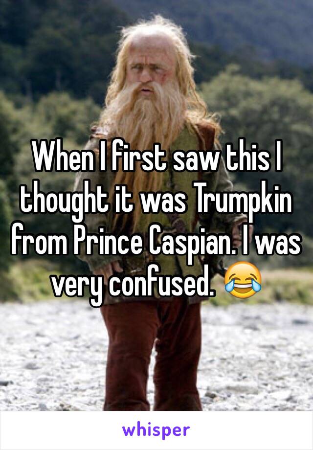 When I first saw this I thought it was Trumpkin from Prince Caspian. I was very confused. 😂