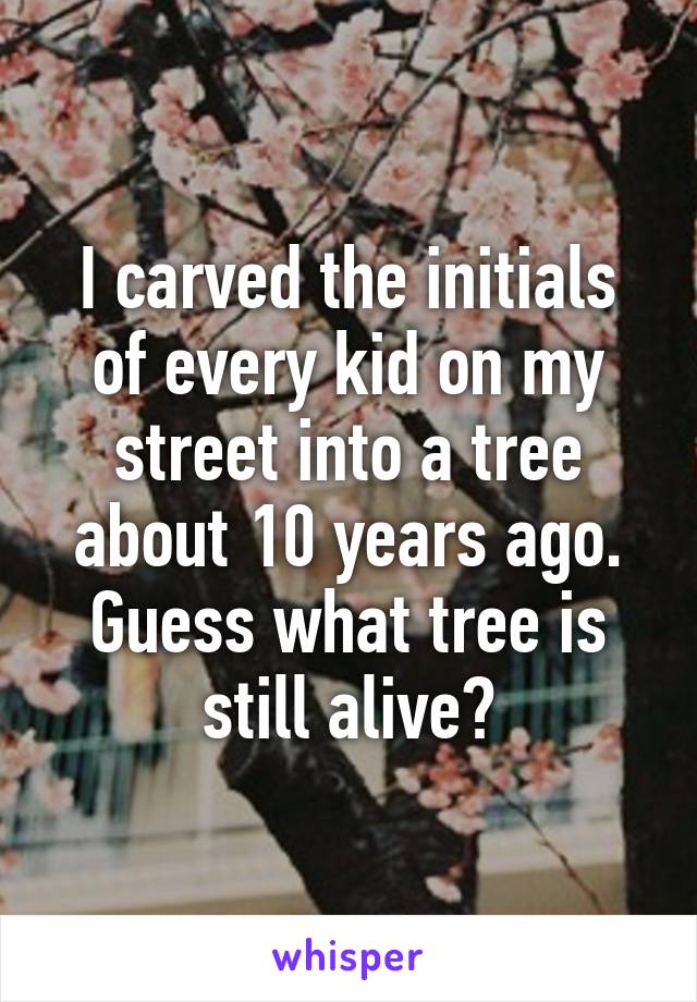 I carved the initials of every kid on my street into a tree about 10 years ago. Guess what tree is still alive?