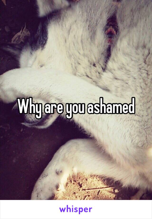 Why are you ashamed