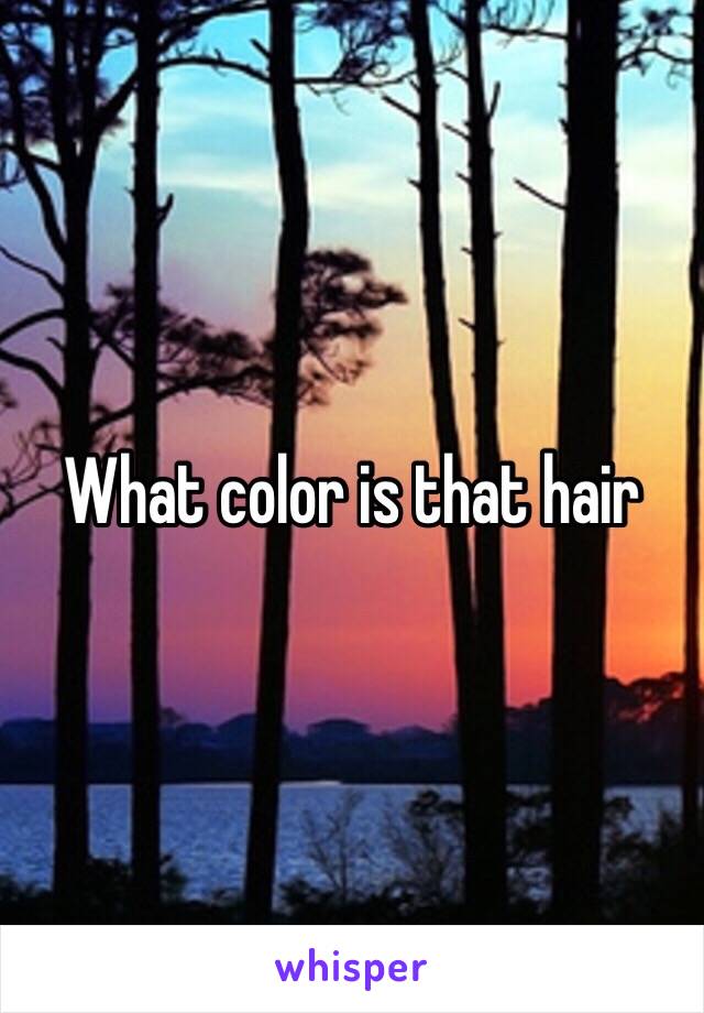 What color is that hair