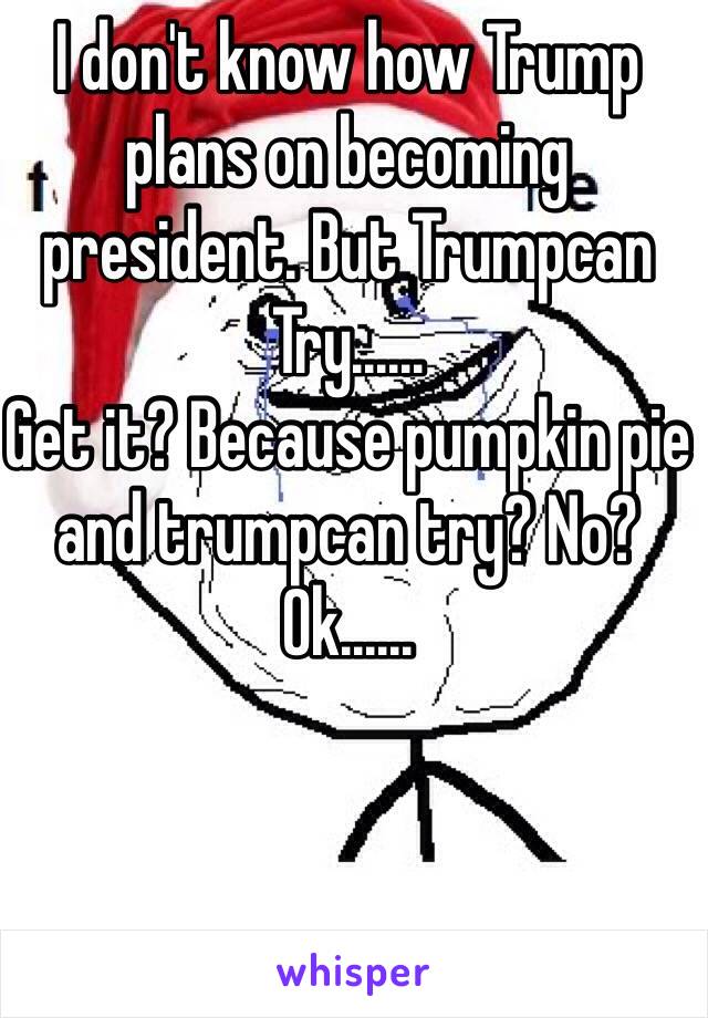 I don't know how Trump plans on becoming president. But Trumpcan Try......
Get it? Because pumpkin pie and trumpcan try? No? Ok......