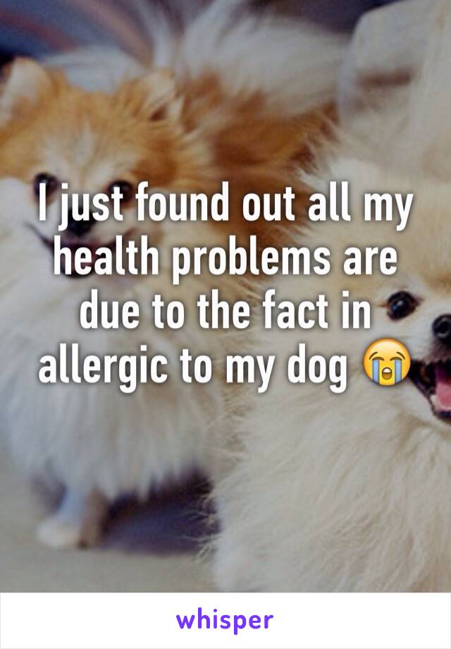 I just found out all my health problems are due to the fact in allergic to my dog ðŸ˜­