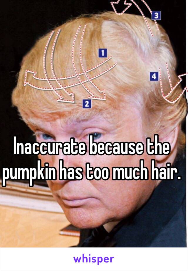 Inaccurate because the pumpkin has too much hair. 
