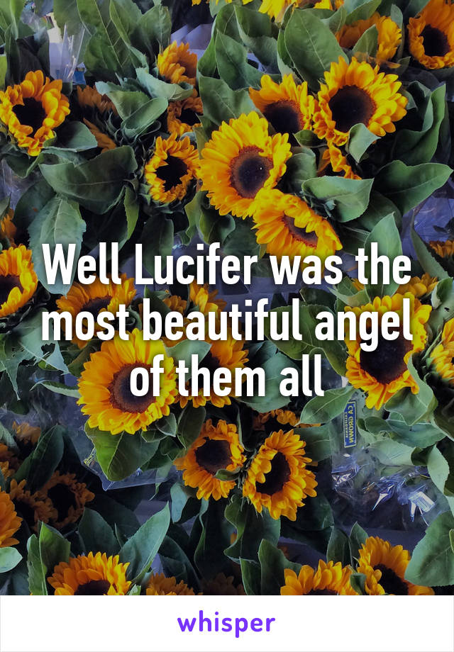 Well Lucifer was the most beautiful angel of them all