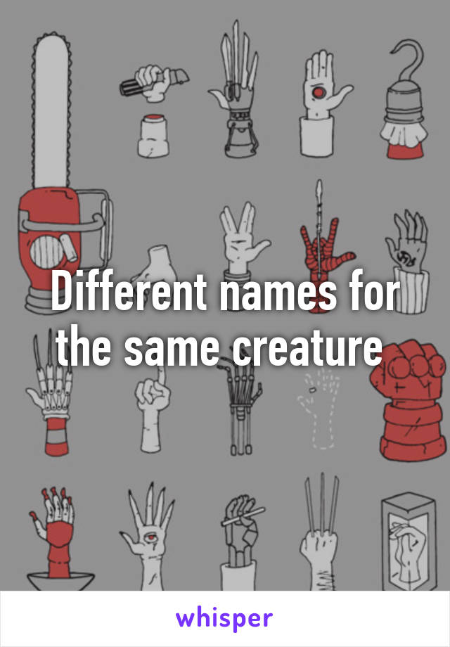 Different names for the same creature 