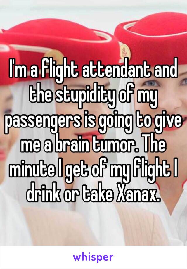 I'm a flight attendant and the stupidity of my passengers is going to give me a brain tumor. The minute I get of my flight I drink or take Xanax. 