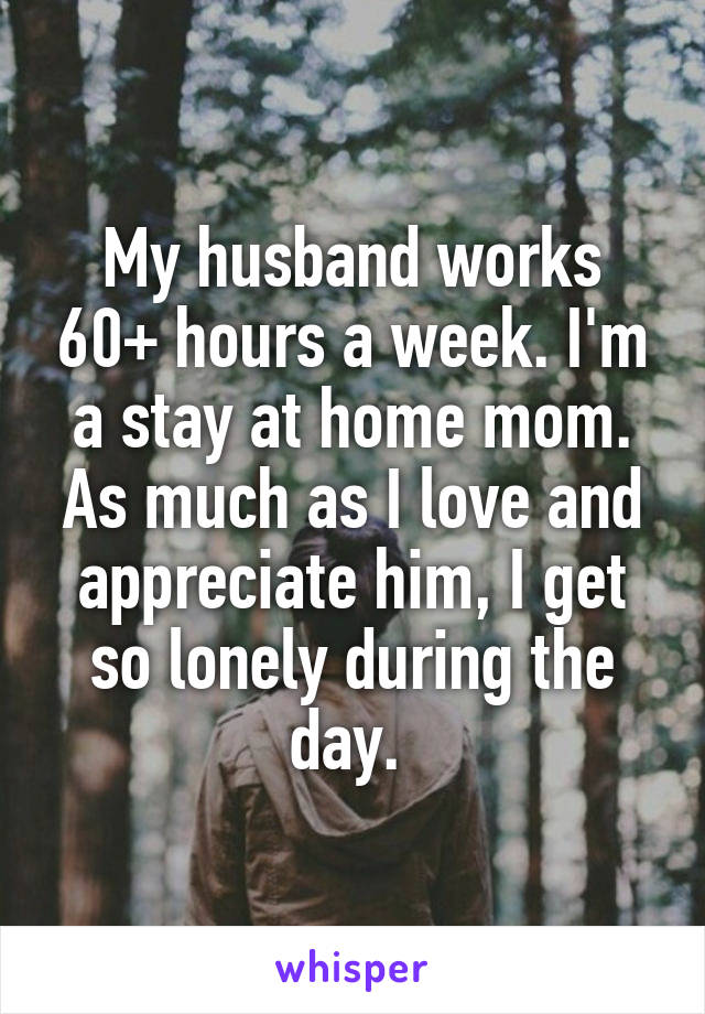 My husband works 60+ hours a week. I'm a stay at home mom. As much as I love and appreciate him, I get so lonely during the day. 