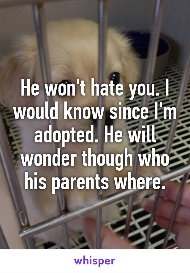 He won't hate you. I would know since I'm adopted. He will wonder though who his parents where.