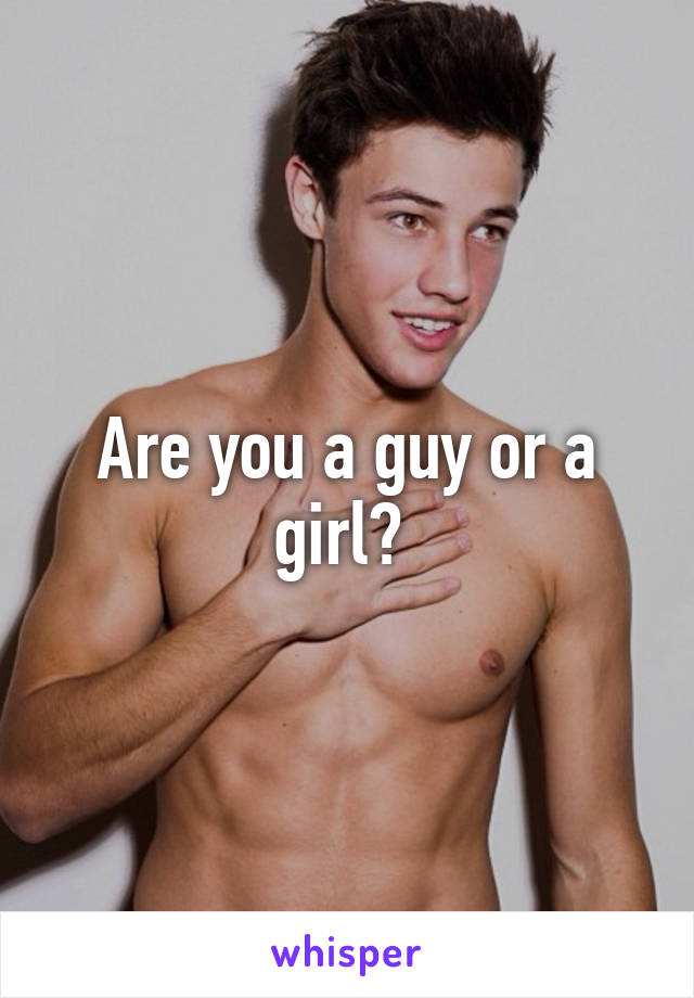 Are you a guy or a girl? 