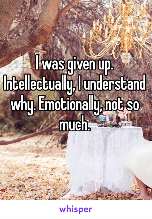 I was given up. Intellectually, I understand why. Emotionally, not so much. 