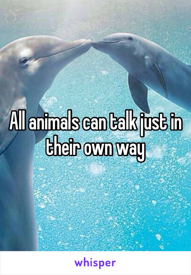 All animals can talk just in their own way 