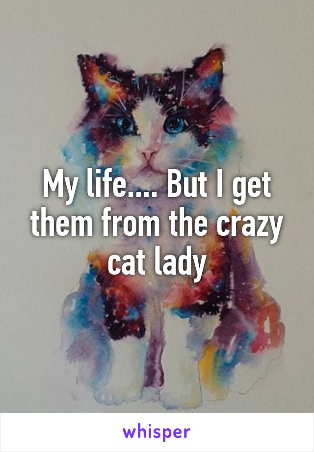My life.... But I get them from the crazy cat lady