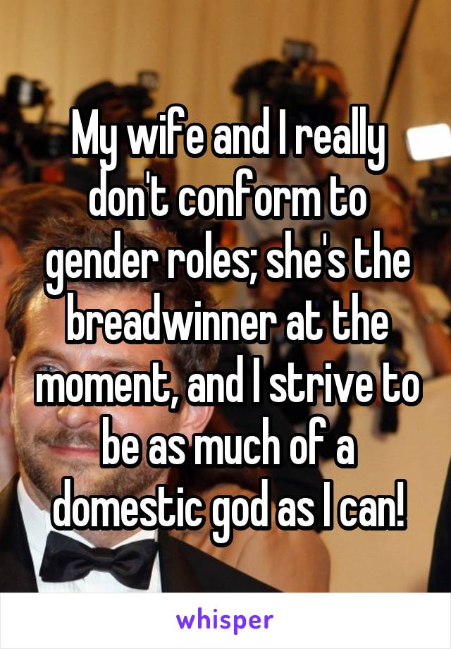 My wife and I really don't conform to gender roles; she's the breadwinner at the moment, and I strive to be as much of a domestic god as I can!
