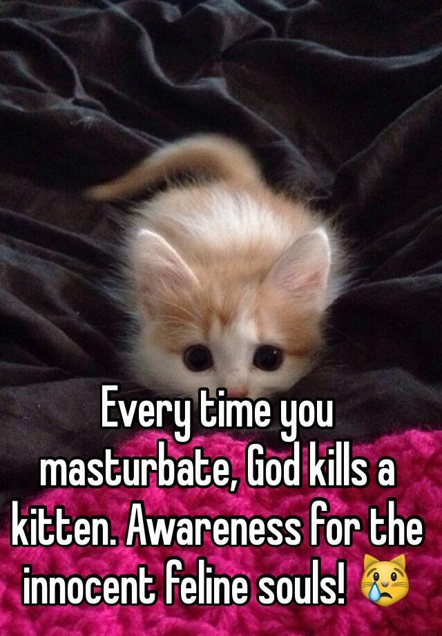 Every Time You Masturbate God Kills A Kitten Awareness For The Innocent Feline Souls 😿