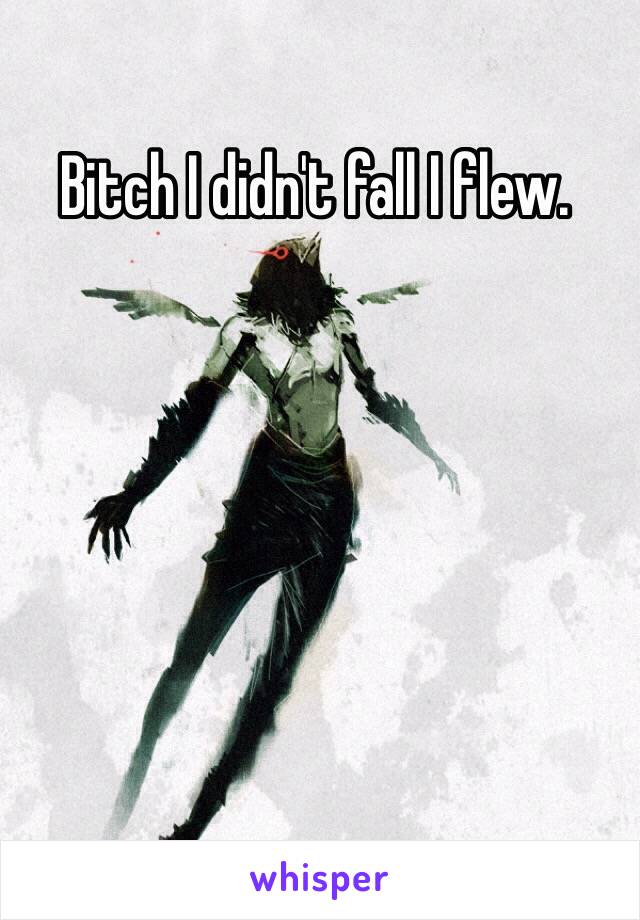 Bitch I didn't fall I flew.
