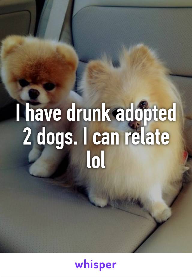 I have drunk adopted 2 dogs. I can relate lol