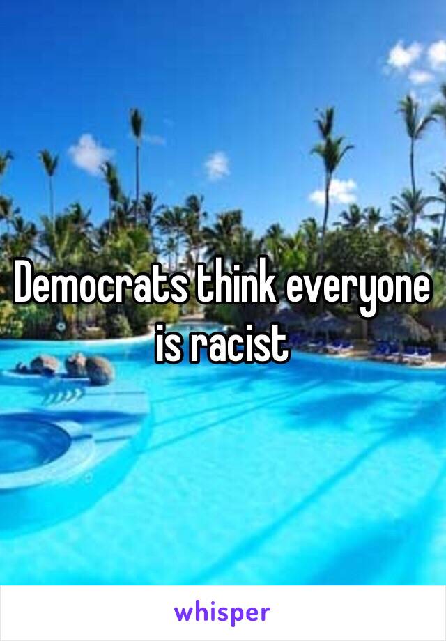 Democrats think everyone is racist 