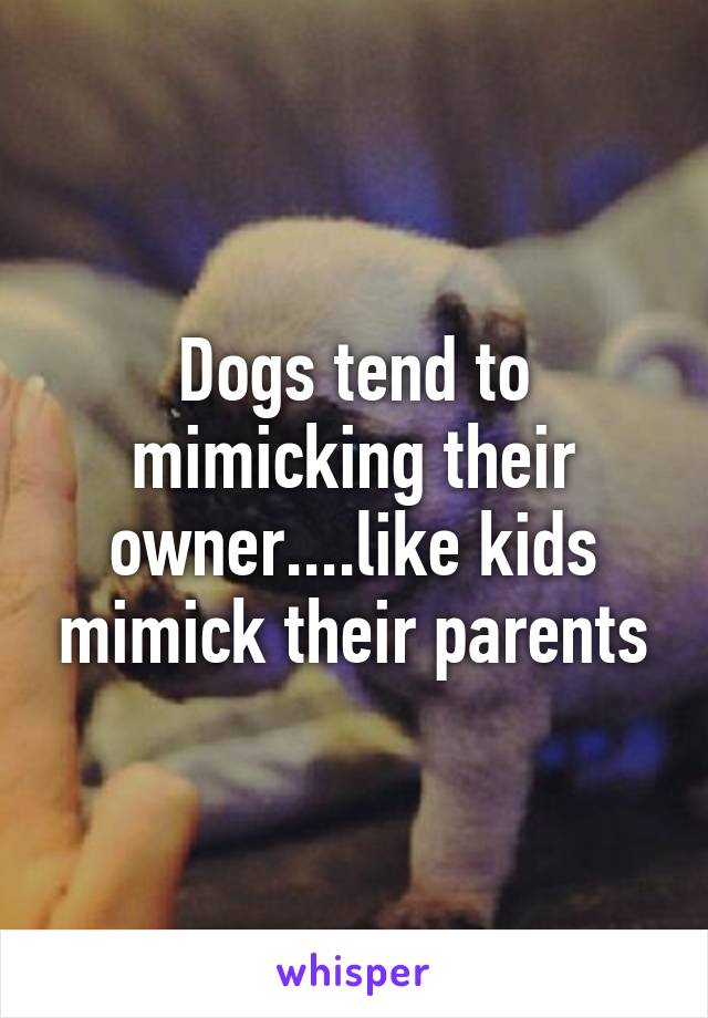 Dogs tend to mimicking their owner....like kids mimick their parents