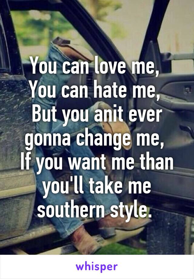 You can love me, 
You can hate me, 
But you anit ever gonna change me, 
If you want me than you'll take me southern style. 