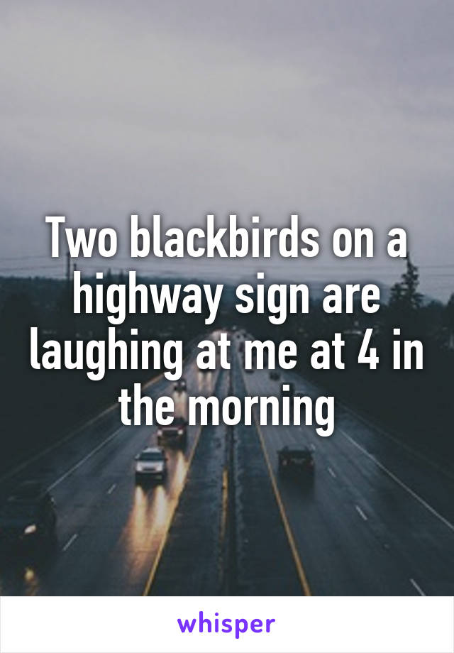 Two blackbirds on a highway sign are laughing at me at 4 in the morning