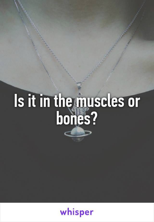 Is it in the muscles or bones?