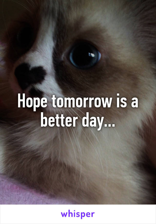 Hope tomorrow is a better day...