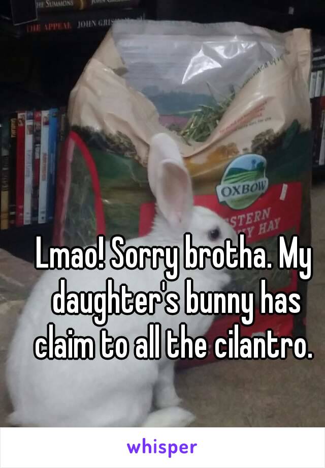 Lmao! Sorry brotha. My daughter's bunny has claim to all the cilantro. 